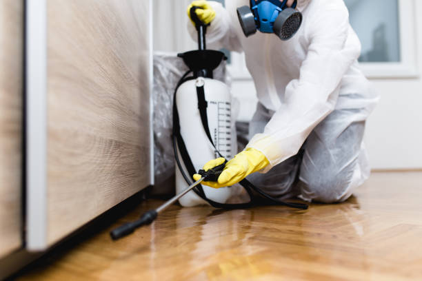 Best Best Pest Control Companies  in Lorado City, CO