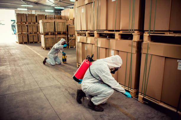 Wasp Removal Services in Colorado City, CO