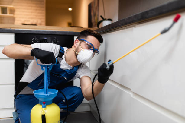 Best Pest Control Near Me in Colorado City, CO