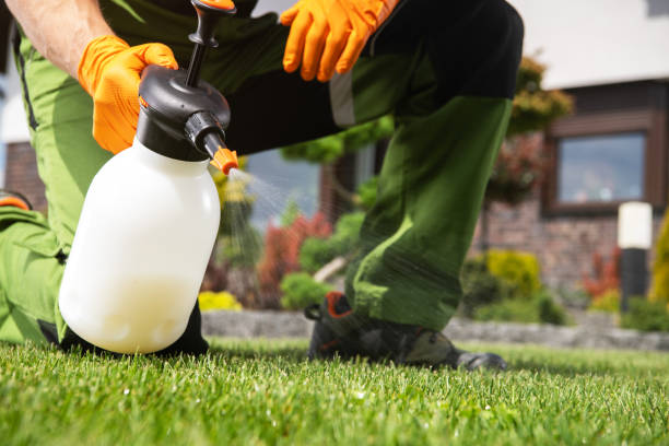 Reliable Colorado City, CO Pest Control Solutions