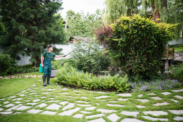 Best Best Pest Control Companies  in Lorado City, CO