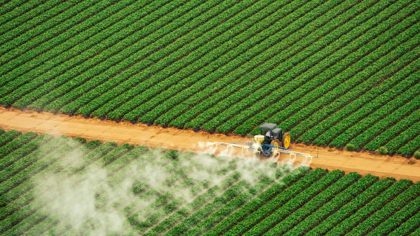 Best Mosquito Control Services  in Lorado City, CO