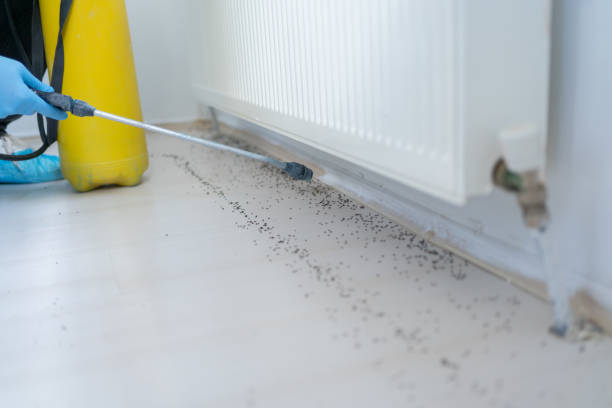 Best Best Pest Control Companies  in Lorado City, CO